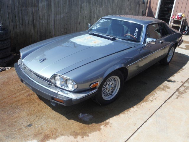 Jaguar xjs v12 for sale